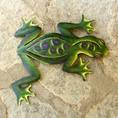 Steel wall art, Mexican Tropical Frog