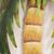 Steel wall art, 'Rustling Palm Tree' - Collectible Mexican Steel Wall Art (image 2c) thumbail