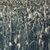 'Corn Field' - Black and White Mounted Photograph of Mexican Corn Field (image 2c) thumbail