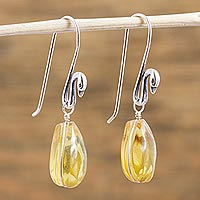 Amber dangle earrings, 'Golden Swan Pond' - Sterling Silver Swan Earrings with Mexican Amber