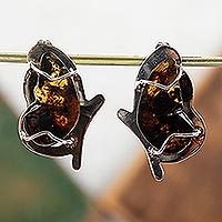 Amber button earrings,