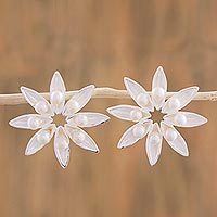 Cultured Akoya pearl button earrings,