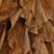 'Fish Woman' (2016) - Oil and Papier Mache Painting of a Fish Woman from Mexico (image 2c) thumbail