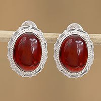 Amber drop earrings,
