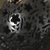 Ceramic figurine, 'Floral Cranium' - Floral Barro Negro Ceramic Skull Figurine from Mexico (image 2d) thumbail