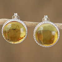 Amber button earrings- ’Round Gold’ (Mexico) Amber button earrings- ’Round Gold’ (Mexico)