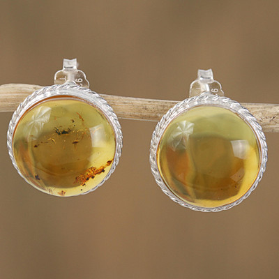 Amber button earrings, Round Gold