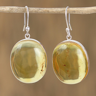 Amber dangle earrings, Golden Miracle