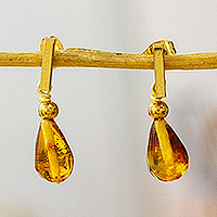 Gold-plated amber dangle earrings, 'Promised Drops' - High-Polished 14k Gold-Plated Natural Amber Dangle Earrings