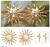 Gold plated button earrings, 'Majesty of the Sun' - Gold Plated Sun Button Earrings (image 2) thumbail