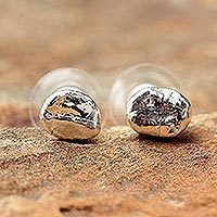 Silver plated natural coffee bean button earrings,