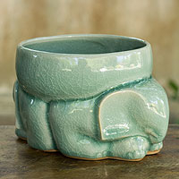 Celadon ceramic bowl Blue Elephant Thailand