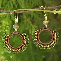 Jasper and labradorite dangle earrings,
