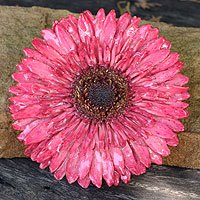 Natural flower brooch pin,