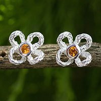 Citrine button earrings,