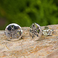 Sterling silver button earrings, 'Sand Dollar' - Hand Crafted Seashell Design Sterling Silver Button Earrings