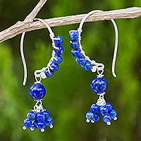 Lapis lazuli beaded dangle earrings, 'Midnight Dancer' - Beaded Lapis Lazuli and Sterling Silver Dangle Earrings