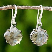 Gold accent labradorite dangle earrings,