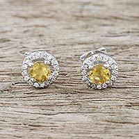 Citrine stud earrings,