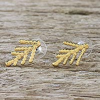Gold plated natural leaf button earrings, 'Natural Needles' - Gold Plated Natural Cypress Leaf Button Earrings