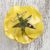 Natural rose brooch, 'Rosy Mood in Yellow' - Artisan Crafted Natural Rose Brooch in Yellow from Thailand (image 2b) thumbail