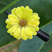 Natural flower hair clip, 'Yellow Aster Passion' - Natural Yellow Aster Hair Clip from Thailand