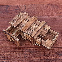 Wood puzzle, 'Double Magic' - Hand Made Raintree Wood Puzzle Game