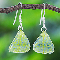 Rubber tree leaf dangle earrings, 'Earthly Delight in Green' - Sterling Silver and Green Rubber Tree Leaf Earrings