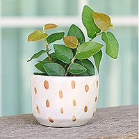 Ceramic flower pot, 'Speckled Bud' - Handcrafted Ceramic Flower Pot with Brown Speckle Pattern