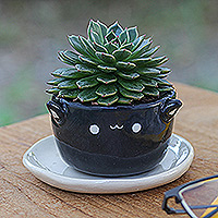 Ceramic mini flower pot, 'Kitty Glam' - Handcrafted Black Ceramic Cat Mini Flower Pot with Saucer
