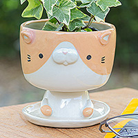 Ceramic mini flower pot, 'Enchanting Kitty' - Cat-Shaped Ivory Orange Ceramic Mini Flower Pot with Saucer