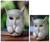 Wood mask, 'Feline Mystique' - Handmade Wood Cat Mask