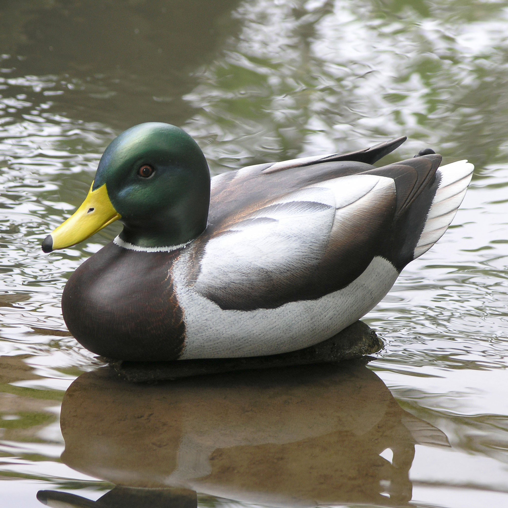 Wood Duck Sculpture - Male Mallard | NOVICA