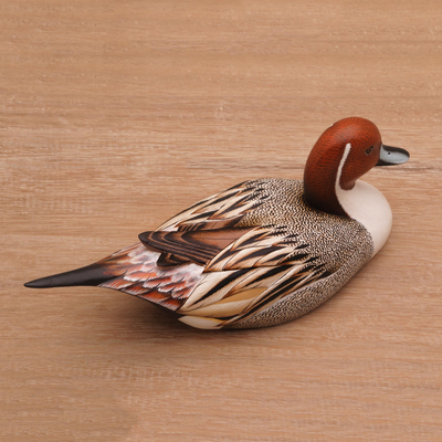 Wood statuette, 'Pintail Duck' - Hand Carved Albesia Wood Duck Statuette from Bali