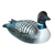 Wood statuette, 'Male Common Loon' - Albesia Wood Duck Sculpture