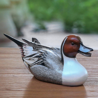 Wood sculpture, Life Size Pintail Duck
