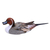 Wood sculpture, 'Life Size Pintail Duck' - Wood Bird Sculpture (image 2a) thumbail