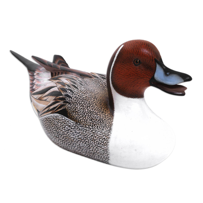 Wood Bird Sculpture - Life Size Pintail Duck | NOVICA
