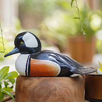 Wood sculpture, 'Hooded Merganser Duck' - Hand Made Wood Sculpture