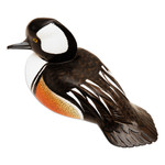 Wood sculpture, 'Hooded Merganser Duck' - Hand Made Wood Sculpture