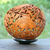 Coconut shell sculpture, 'Adventurous Fish' - Artisan Crafted Coconut Shell