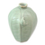 Ceramic vase, 'Frangipani Frog' - Handcrafted Ceramic Vase with Leaves and Frog (image 2a) thumbail