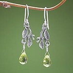 Women's Sterling Silver Dangle Earrings, 'Rainforest'
