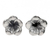 Sterling silver flower earrings, 'Silver Allamanda' - Floral Sterling Silver Stud Earrings thumbail