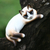 Wood statuette, 'Thoughtful Cat' - Wood statuette (image 2) thumbail