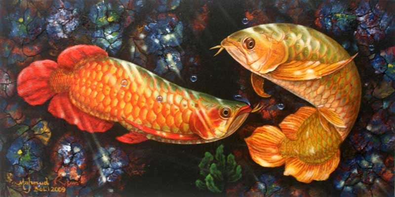 Код богатства рыбы. Золотая Арована рыба. Арована картина. Картина рыба Арована. Рыба Арована фен шуй.