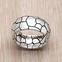 Featured review for Mens sterling silver ring, Karma Path