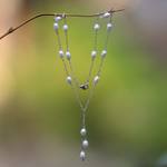 Pearl Y necklace, 'Moonlit Dancer' - Artisan Crafted Sterling Silver and Pearls Y Necklace