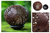 Coconut shell sculpture, 'Bamboo Panda' - Coconut Shell Sculpture with Stand thumbail