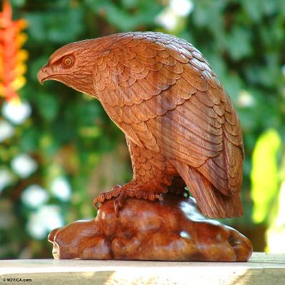 Wood sculpture, 'Eagle Gaze' - Artisan Crafted Wood Bird Sculpture